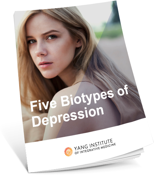 E-book E-book: Five Biotypes of Depression